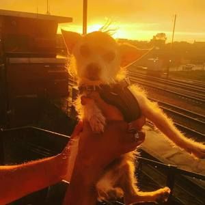 Meet your Posher, Mark